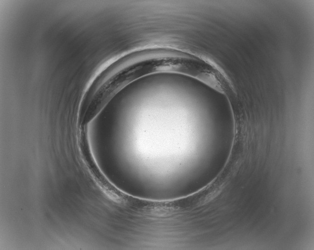 X0000080131077200612081224