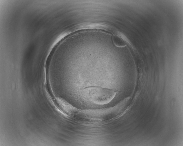 X0000080131079200612081224