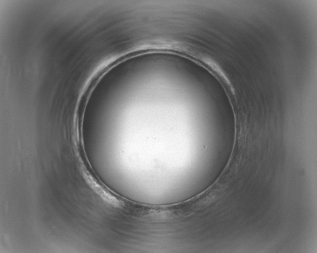 X0000080131080200612081224