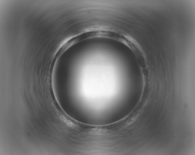 X0000080131081200612081224