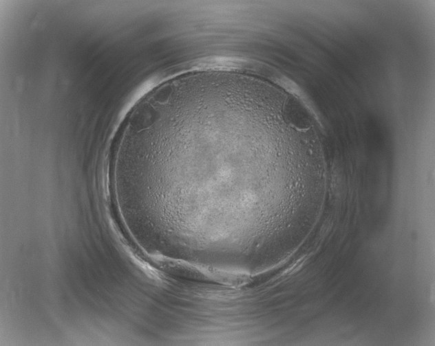 X0000080131083200612081224