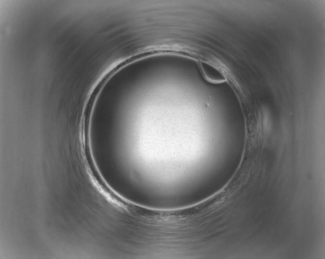 X0000080131084200612081224