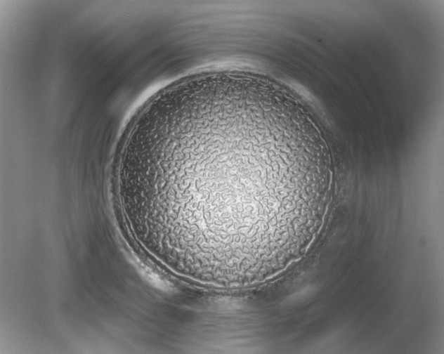 X0000080131086200612081224