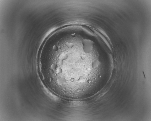 X0000080131087200612081224