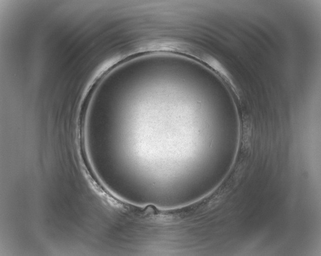 X0000080131088200612081224