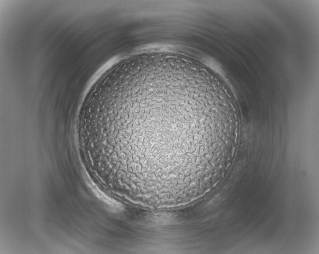 X0000080131090200612081224