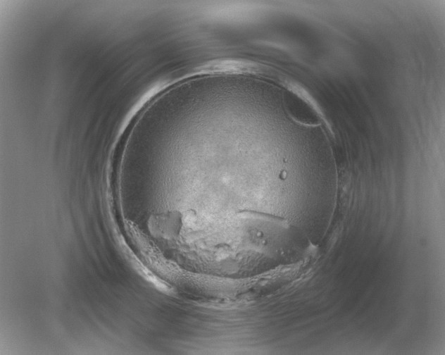 X0000080131091200612081224