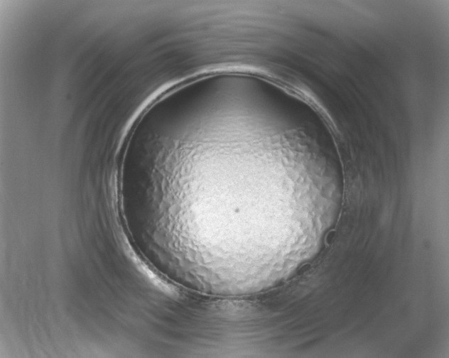 X0000080131092200612081224