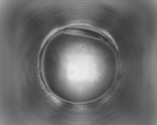 X0000080131096200612081224