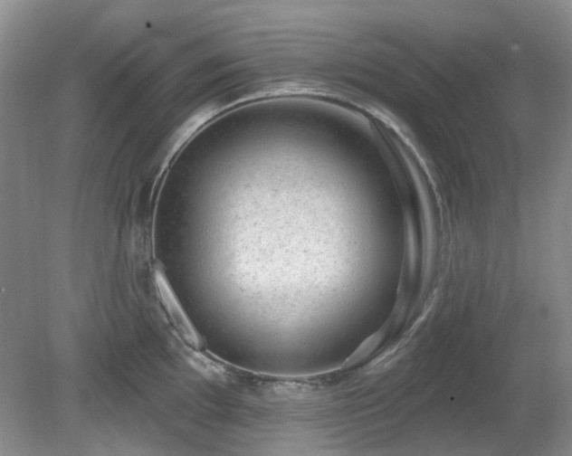 X0000080131097200612081223