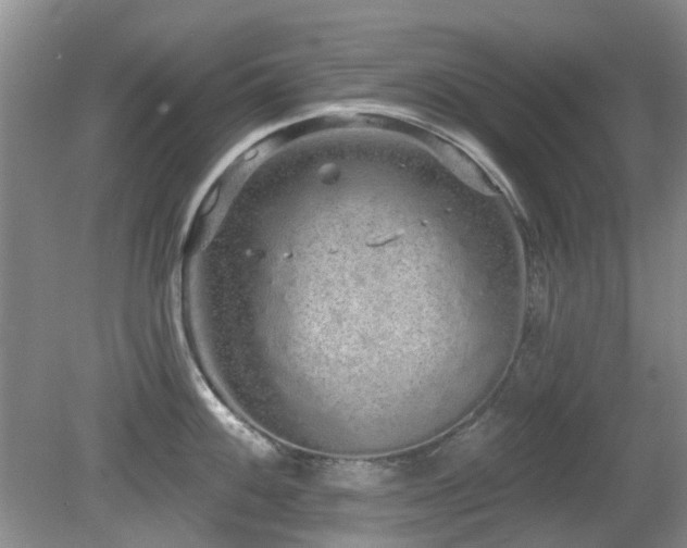 X0000080131100200612081223