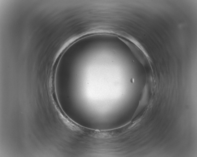 X0000080131101200612081223