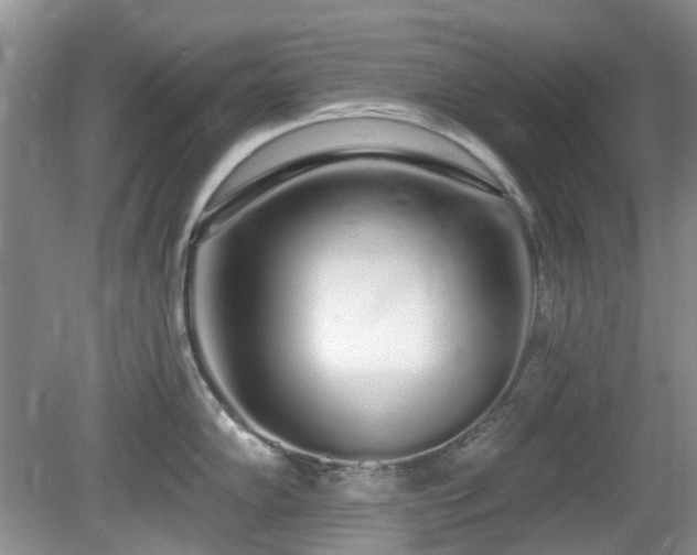 X0000080131102200612081223