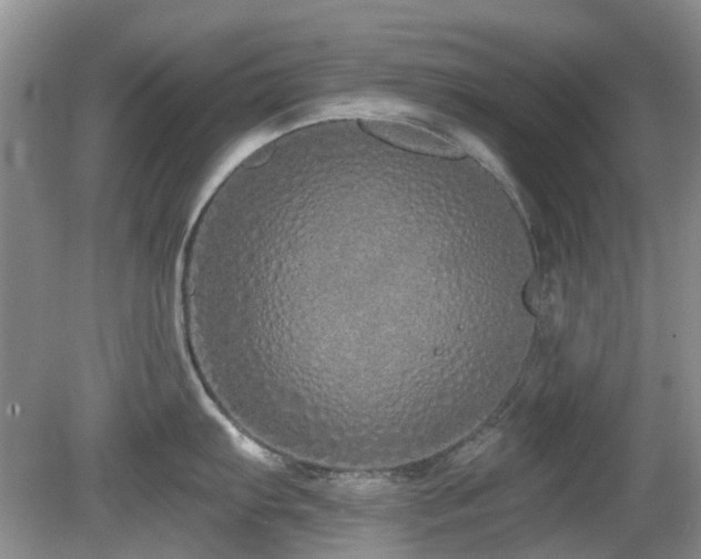 X0000080131103200612081223