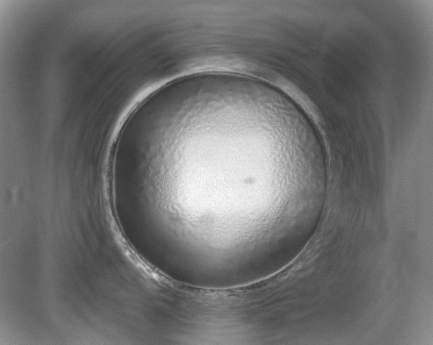 X0000080131104200612081223