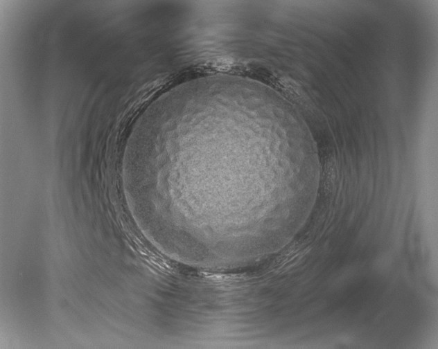 X0000080131105200612081223