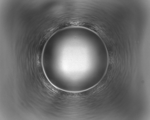 X0000080131106200612081223