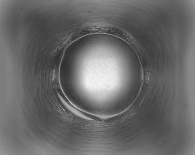 X0000080131108200612081223