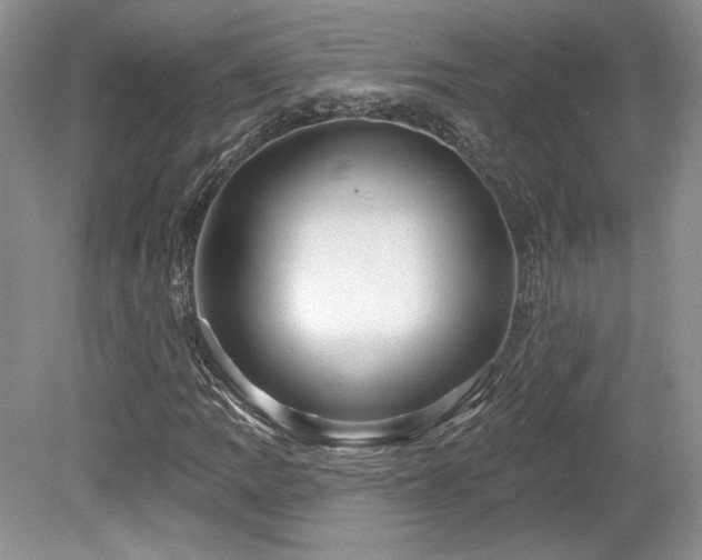 X0000080131109200612081223