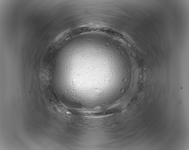 X0000080131110200612081223