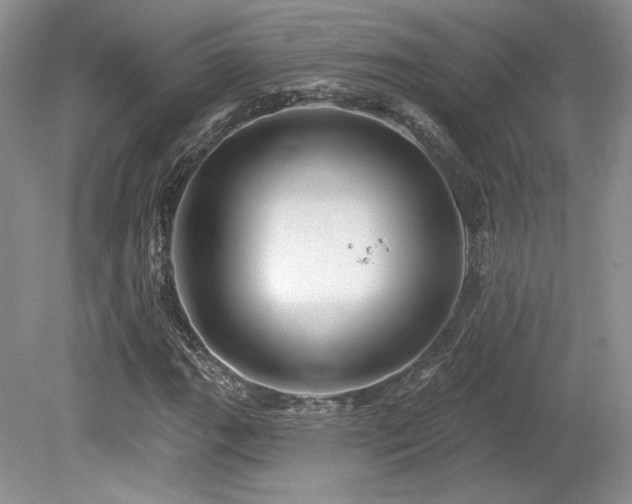 X0000080131111200612081223