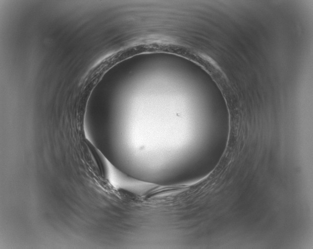 X0000080131112200612081223