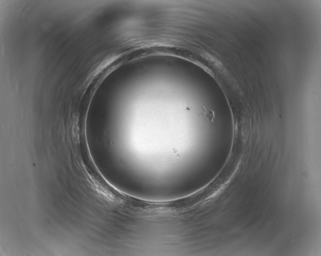 X0000080131113200612081223