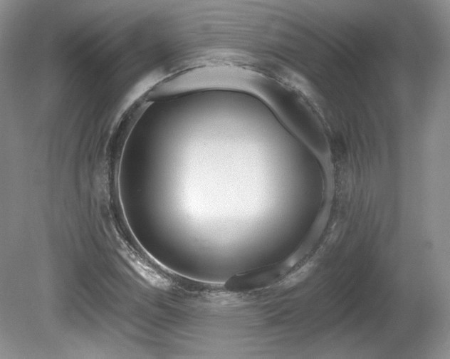 X0000080131114200612081223