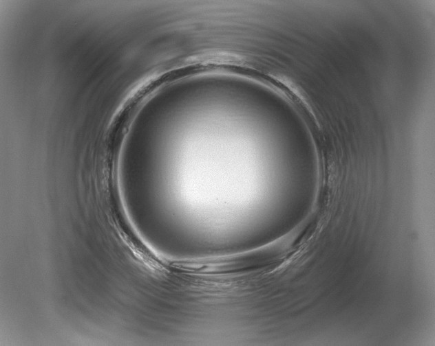 X0000080131115200612081223