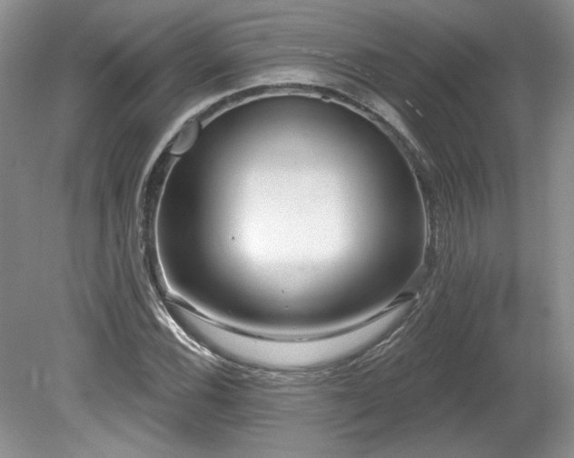 X0000080131116200612081223