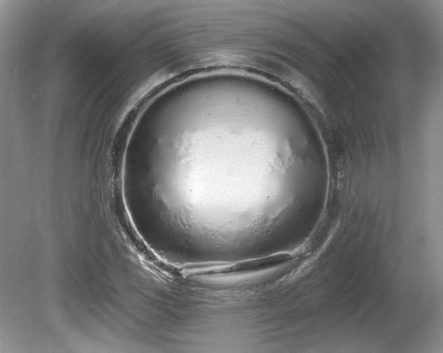 X0000080131117200612081223