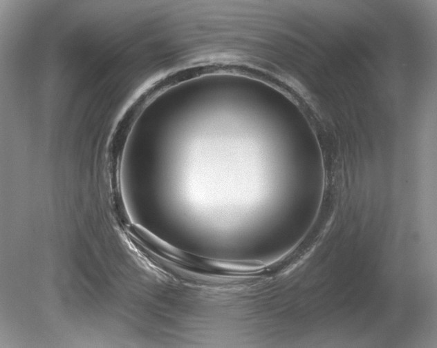 X0000080131118200612081223