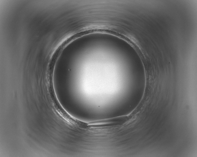 X0000080131119200612081223