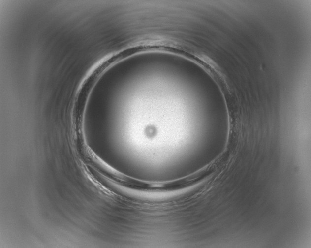 X0000080131120200612081223