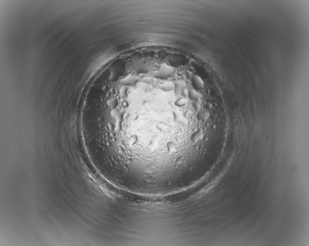 X0000080131121200612081223