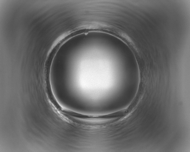 X0000080131122200612081223