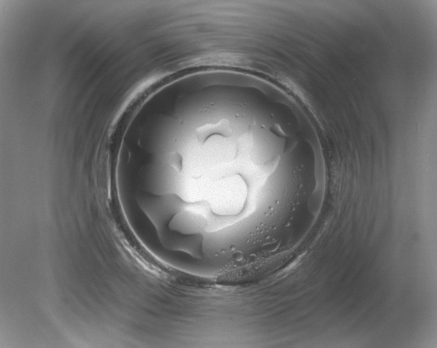 X0000080131123200612081223