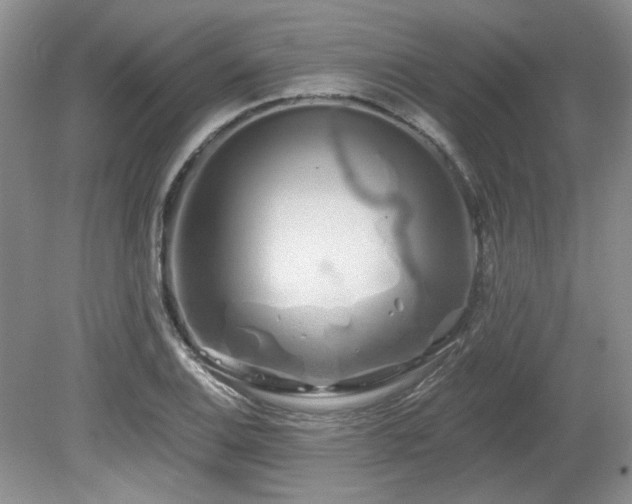 X0000080131124200612081223