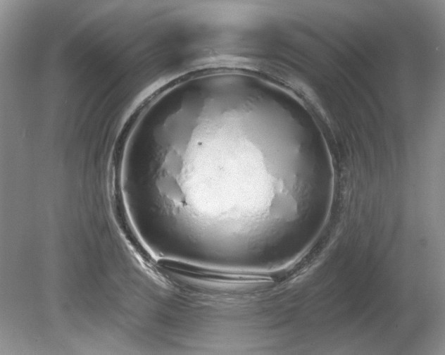 X0000080131125200612081223