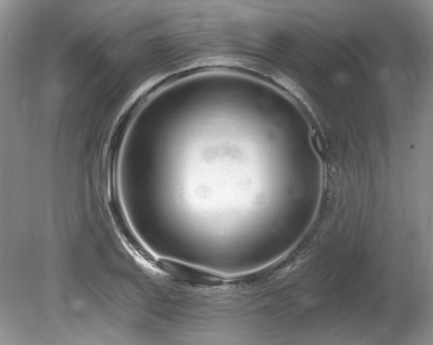 X0000080131127200612081223