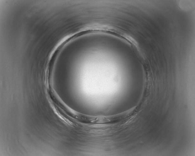 X0000080131128200612081223