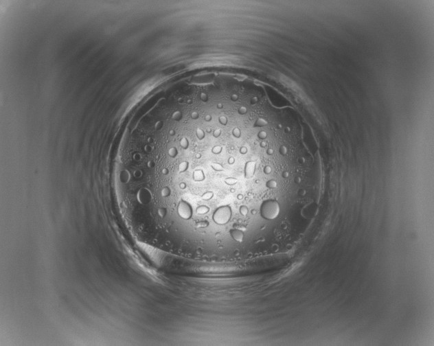 X0000080131129200612081223