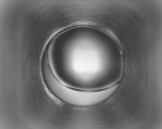 X0000080131132200612081223