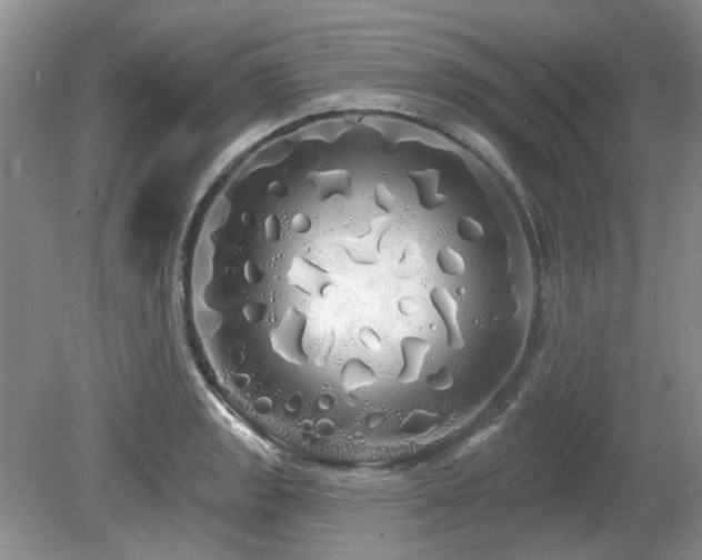 X0000080131133200612081223