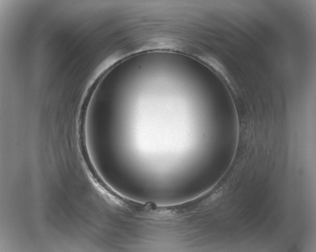 X0000080131135200612081223