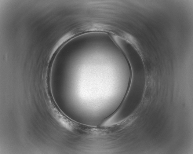 X0000080131138200612081223