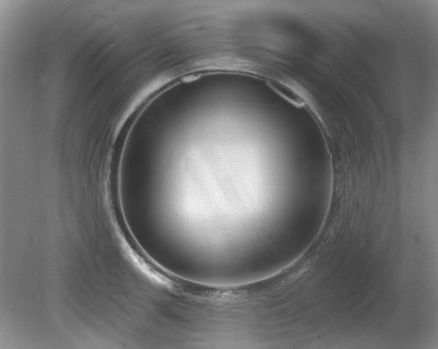 X0000080131139200612081223