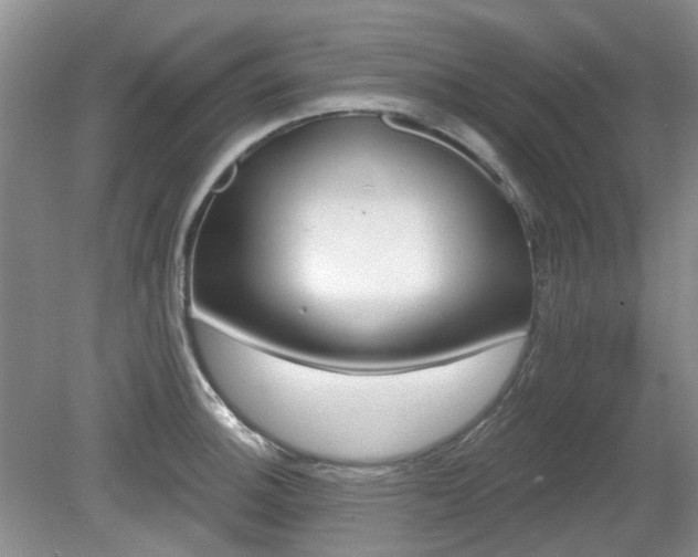 X0000080131140200612081223