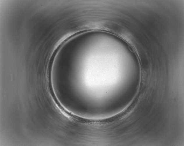 X0000080131141200612081223