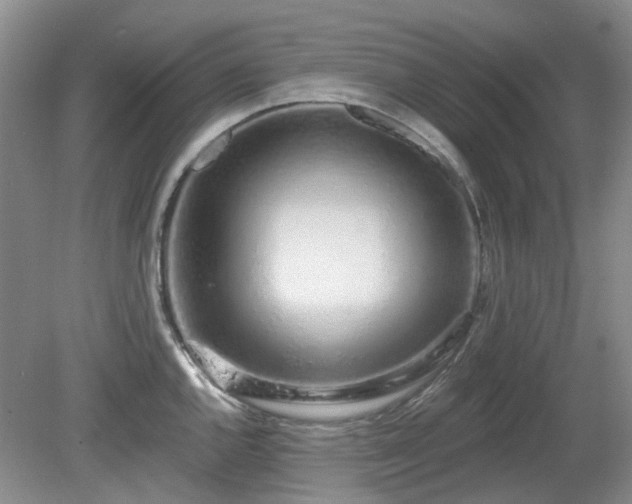 X0000080131144200612081223